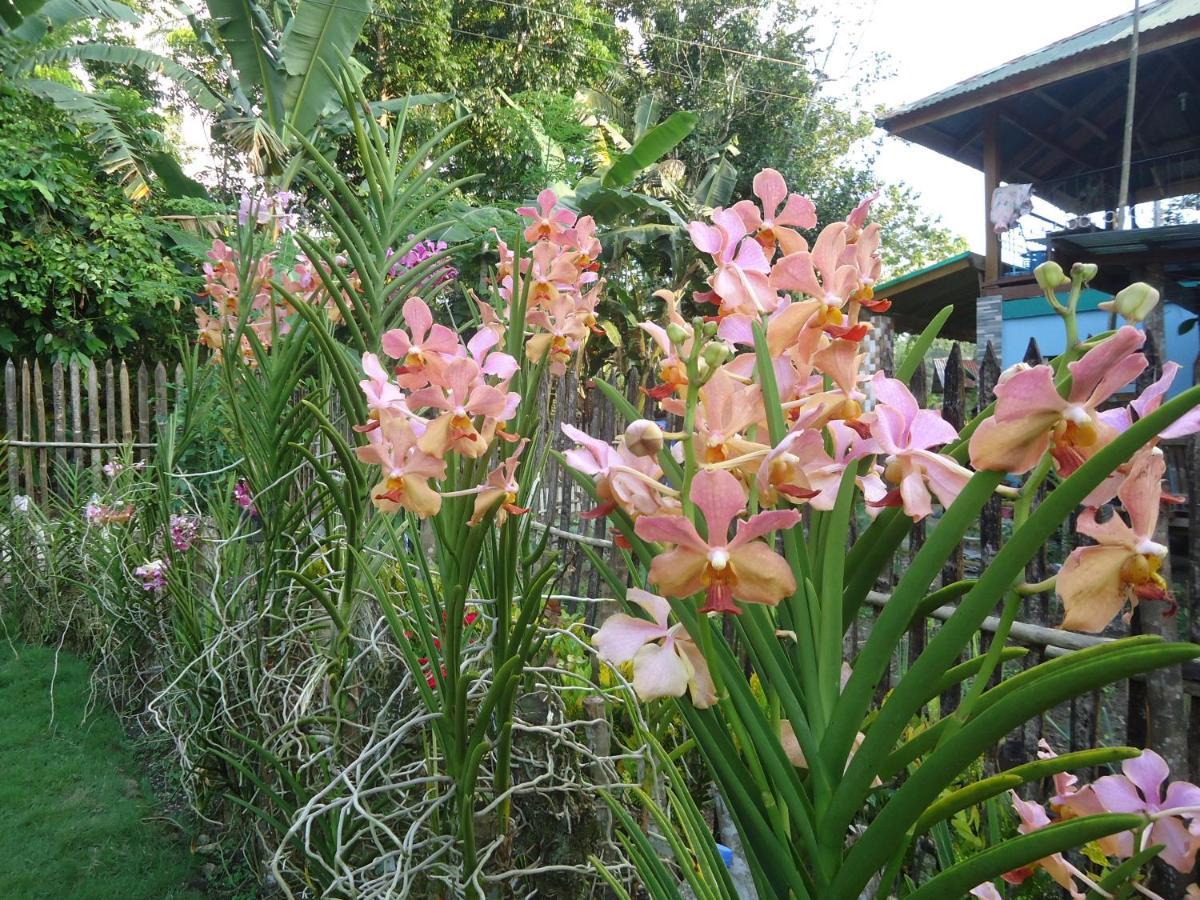 Lhoyjean Garden Hostel Batuan Zewnętrze zdjęcie