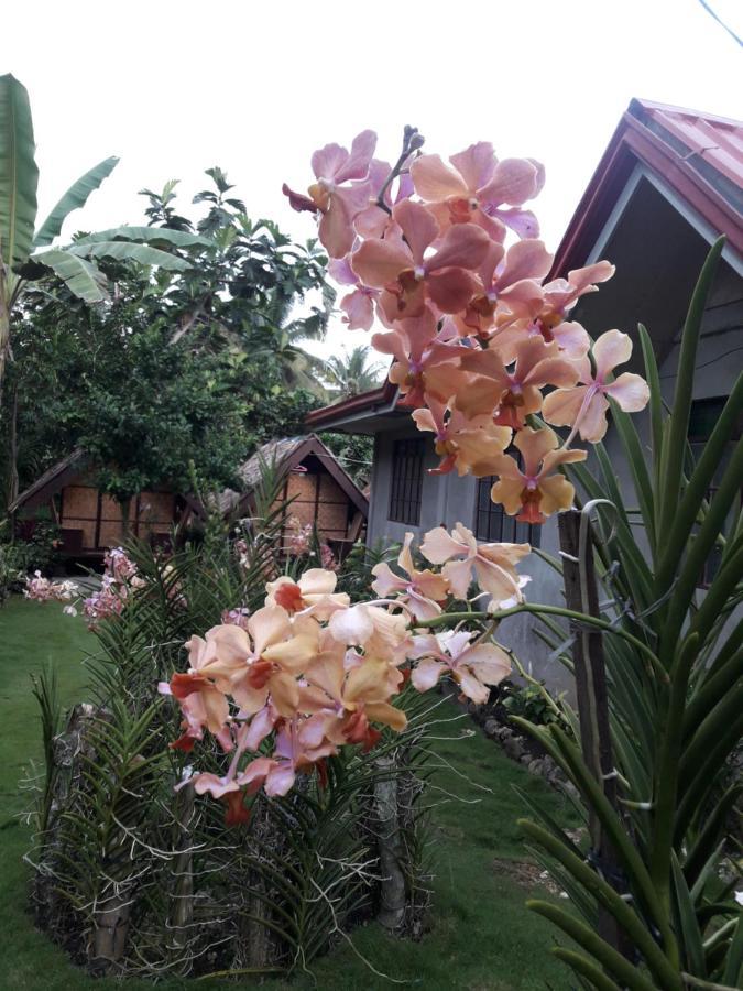 Lhoyjean Garden Hostel Batuan Zewnętrze zdjęcie