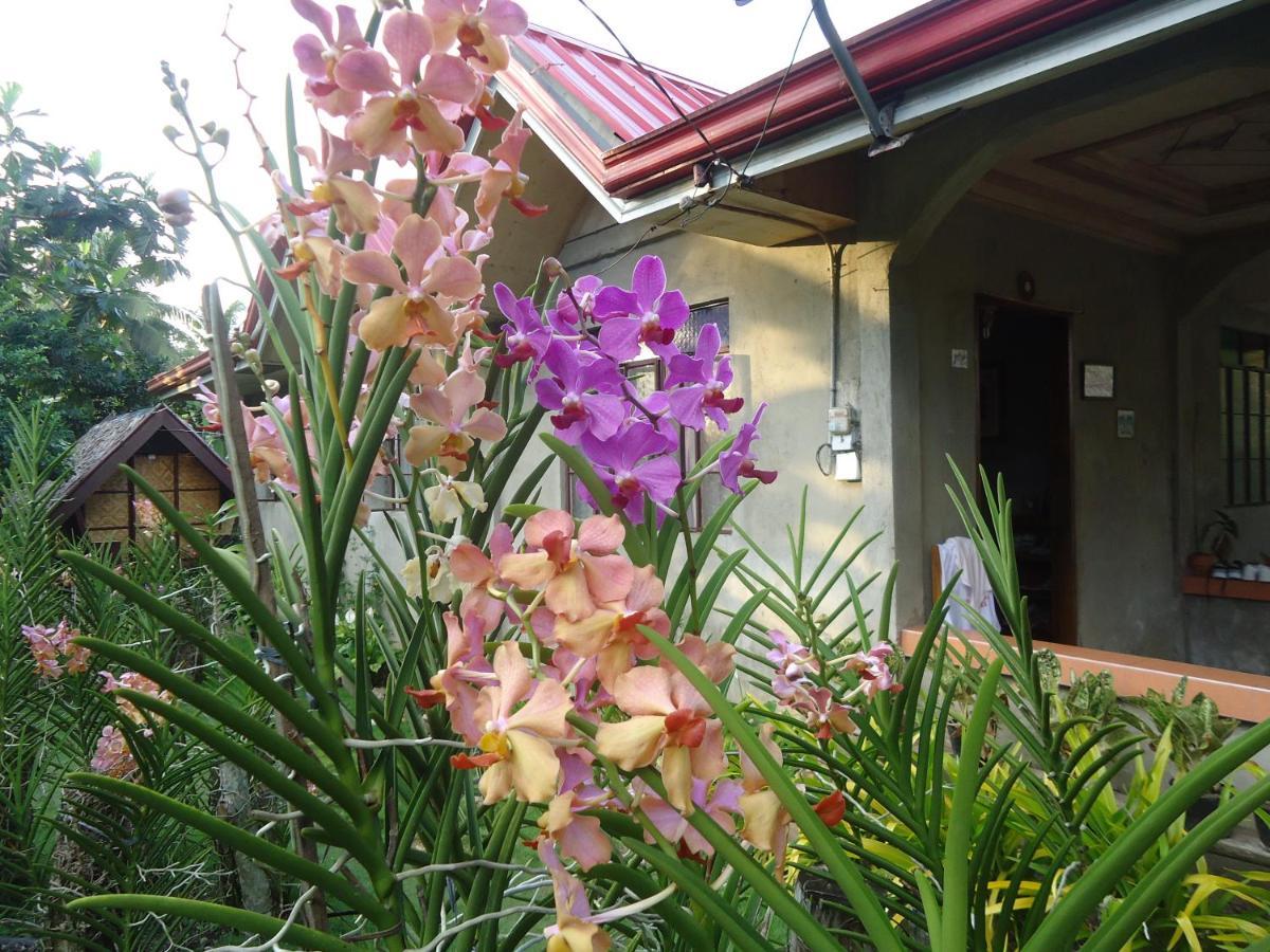 Lhoyjean Garden Hostel Batuan Zewnętrze zdjęcie